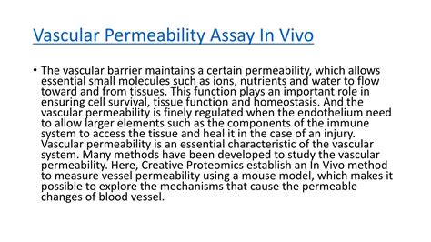 vascular permeability synonym